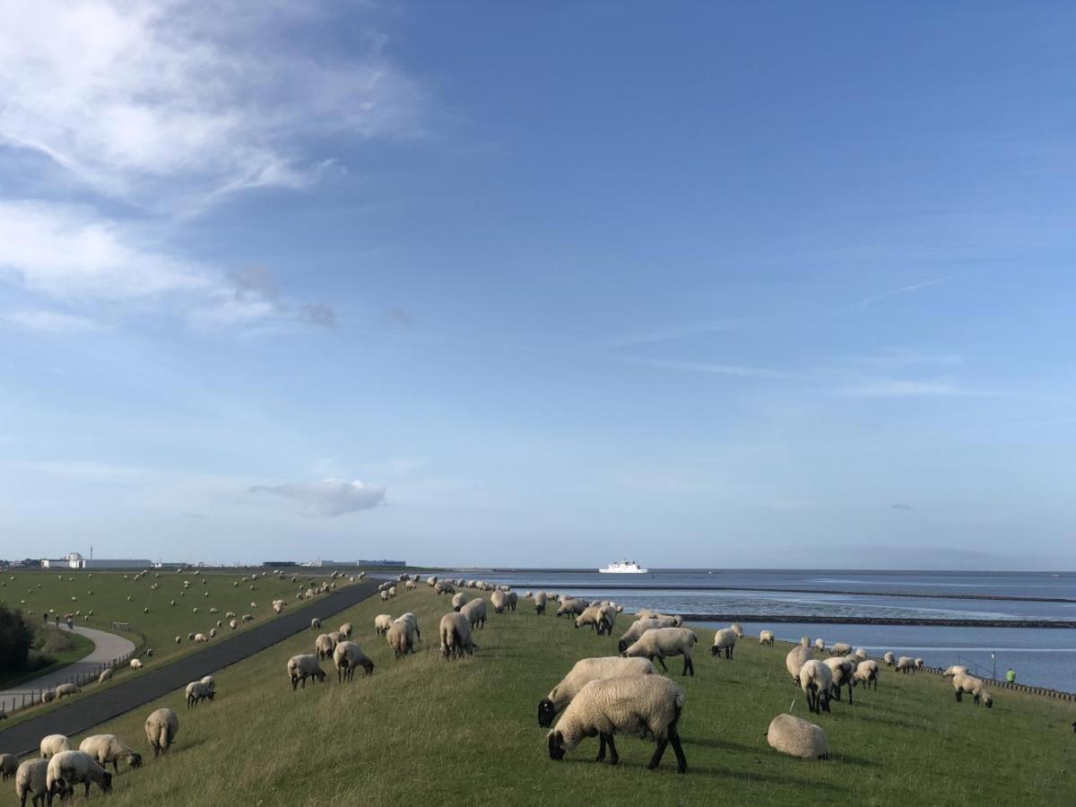 Wind Und Meer - Traumhaft An Der Nordsee نورديش المظهر الخارجي الصورة